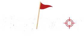 Flagfindr